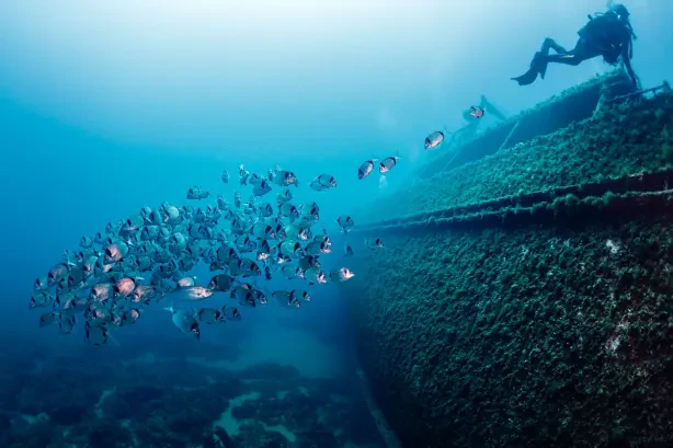 Foto: Waarom Zuid-Spanje een paradijs is voor duikliefhebbers